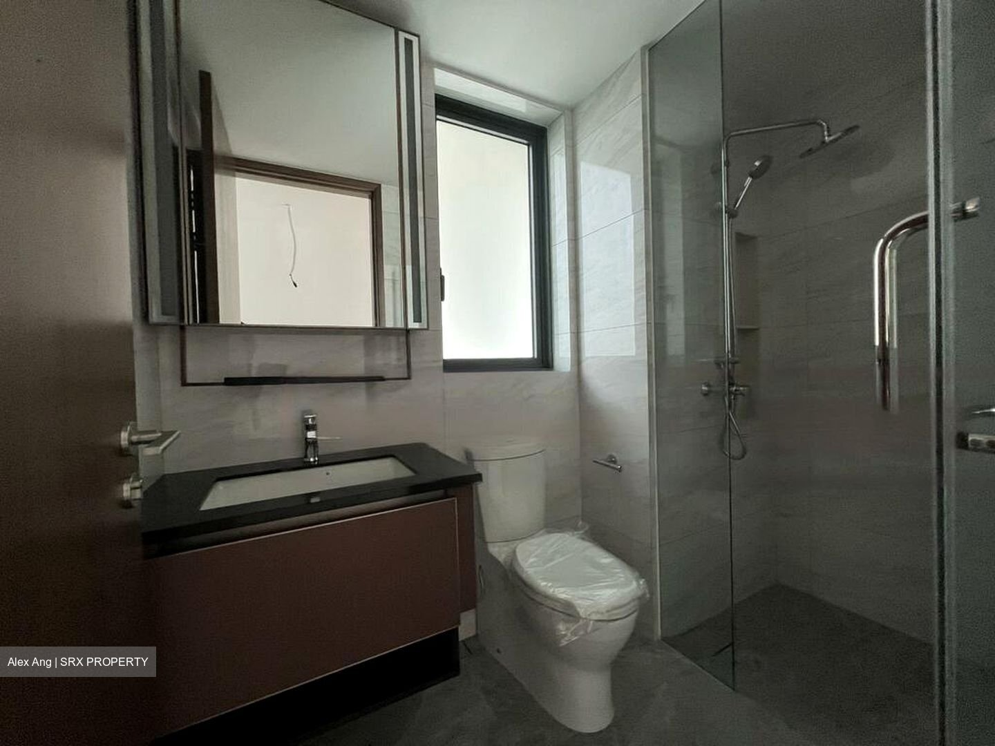 Normanton Park (D5), Apartment #457345741